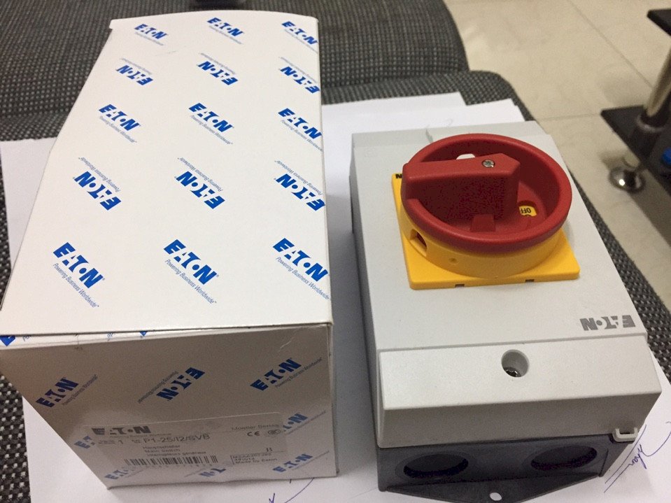 EATON.207314 P1-32/I2/SVB